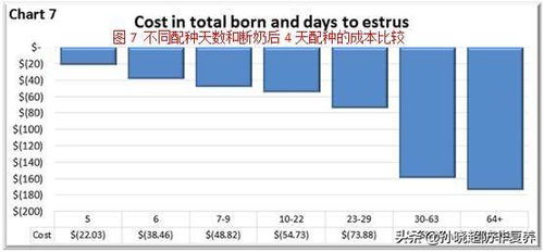 母猪从配种到断奶如何进行精细化管理？
