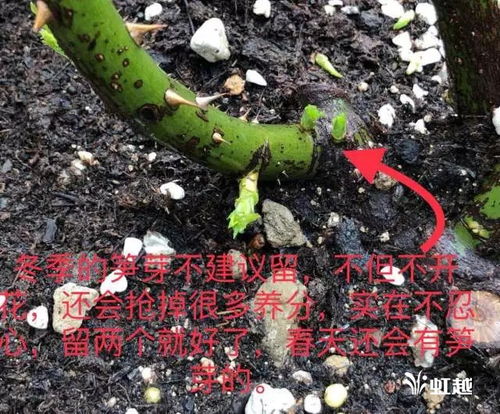 喷喷喷，还是灌灌灌？