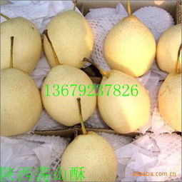 鸭梨是一种水果，因其形状类似鸭蛋而得名