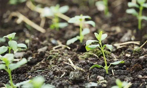 消毒方法多种多样