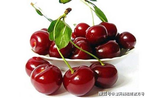 浸泡时间， 得堪水温