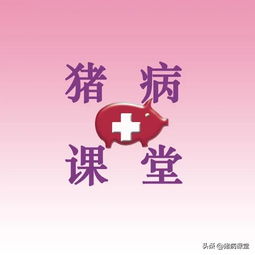 小猪驼背，你知道它的原因吗
