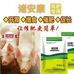 猪健胃快速见效喂什么？这3种黄金配方能让日增重飙升20%吗？
