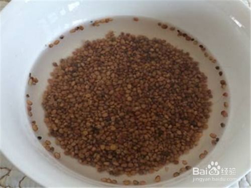 浸泡方法大公开