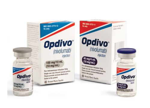 一、 见效时间的基本规律