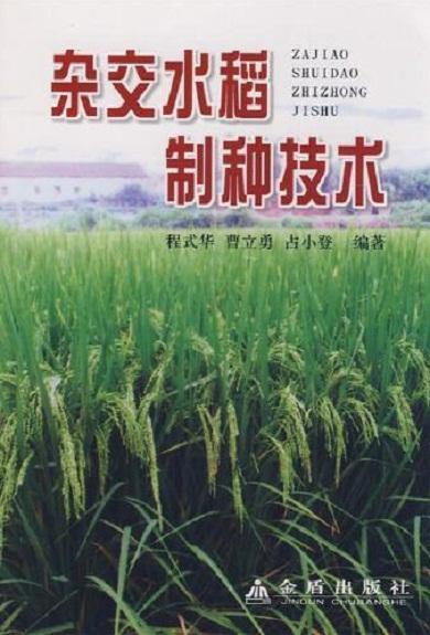 杂交水稻制种原理下如何通过亲本选配和隔离技术实现高效培育过程？