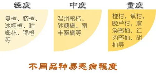 自然常温养蝎，关键在于适宜的温度、湿度、饲料、环境和疾病防治