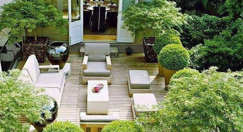 耐旱植物的选择