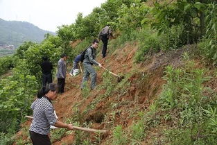 别以为耐旱草全国通用， 这可是要分地盘的：