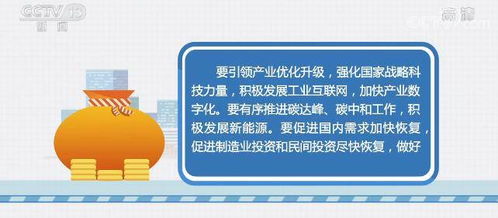 海兰鸡饲料消耗优化策略