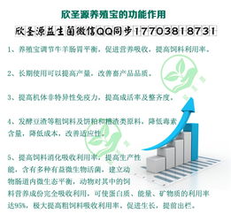 饲料蛋白超标怎么办？资深养殖户教你巧妙应对策略？