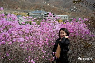 春心萌动，正逢种植心美之时