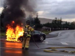618期间，小麦价格下跌