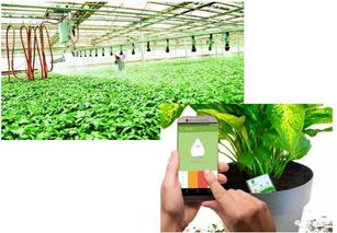 ★ 南阳有机农产品