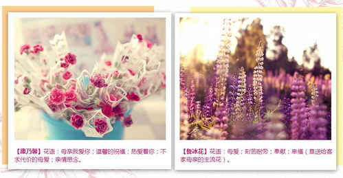 送妈妈花，是表达孝心和爱意的一种传统方式