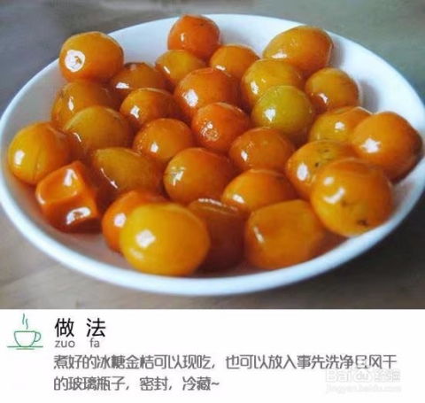 请问根据金桔品种选择指南，哪种金桔适合做蜜饯呢