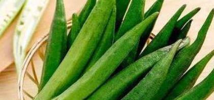 冬葵秋葵大不同，秋葵冬瓜相克否？