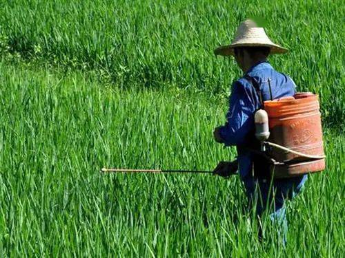 农药：庄稼的守护神