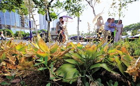 这些植物真不用管？