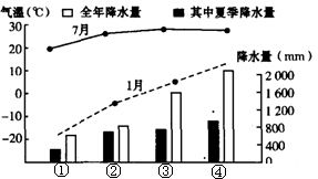 杨树的寿命受哪些因素影响，其寿命变化有何规律