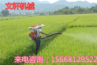 苹果树牌喷雾器使用安平泰杀菌剂时如何确保喷洒均匀且不伤及叶片？