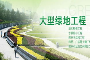 挑战与乐趣并存