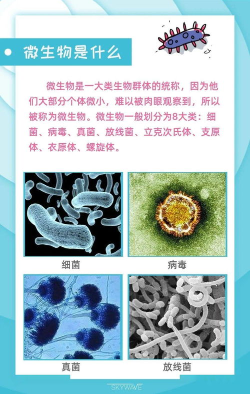 微生物们的舞蹈：氟乐灵的舞台