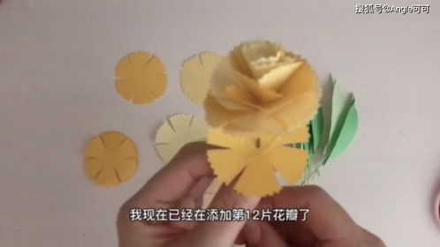 教师节送什么花？康乃馨既好看又实用