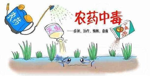 草甘膦中毒， 解救主要是清除毒物