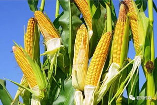 乱讲一通， 一下