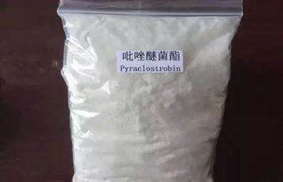 什么是吡唑醚菌酯水稻浸种？