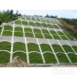 灌木与乔木：绿色生命的支柱