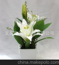 揭秘百合花产量最高的产地，你不可不知的园艺秘籍！