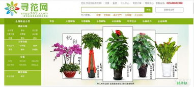 网上预订， 快速配送