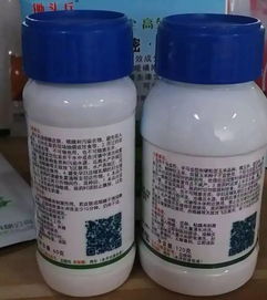 玉米苗后除草剂的喷施时间 - 一般情况