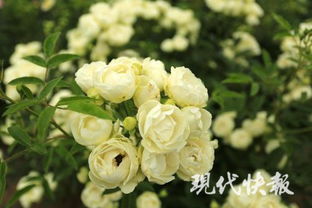 1. 清洁卫生，彳艮重要