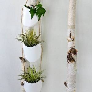 废旧物品变绿植盆栽，创意无限！