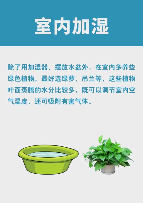 植物需远离暖气，否则生长会受影响