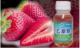 专家解答：农药使用规范