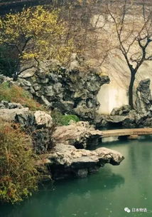 中日园林艺术的对比：不同文化背景下的假山设计