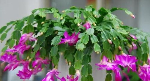 水质与水温的选择