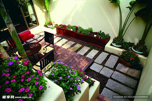 密植反而开花少