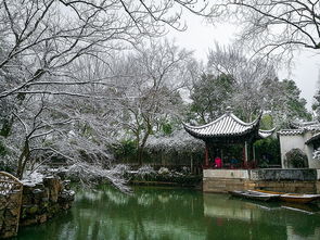 苏州园林四季风光， 美不胜收