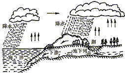 揭秘农业灌溉：揭秘自然界中的水循环奥秘