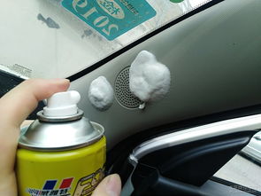 车内喷杀虫剂的资料