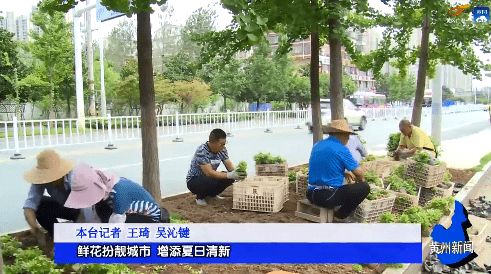 小乔木：生机勃勃的风景