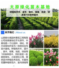 企业园区绿化也需绿化树种，改善环境人人有责！