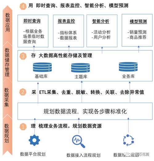 猪精采集标准化流程，确保优质繁育