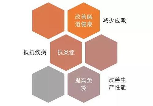 别人家的饲料为何三个月内迅速占领市场？这6大策略你尝试过吗？