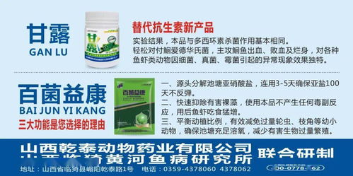 猪饲料添加剂展会，未来猪饲料行业发展前景如何？